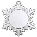 Medaillen 06-D47 Silber
