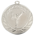 Karate Medaillen DI5000.X