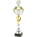Pokal MT.131 Silber/Gold 295 mm
