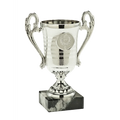 Pokal SET.306