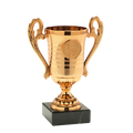 Pokal SET.306