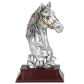 Reiten Pokal FG350