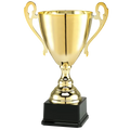 Pokal LT.080