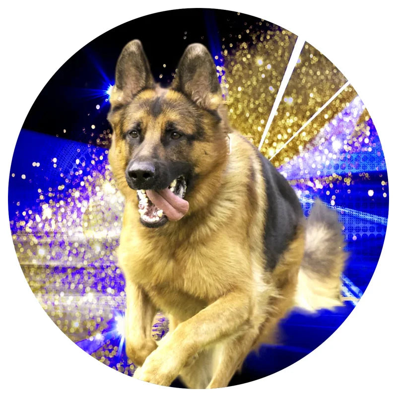 Sticker pro St¸ck