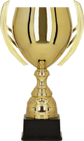 Goldpokal BATIKA