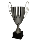 Silberpokal