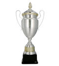 Pokal Silber Gold