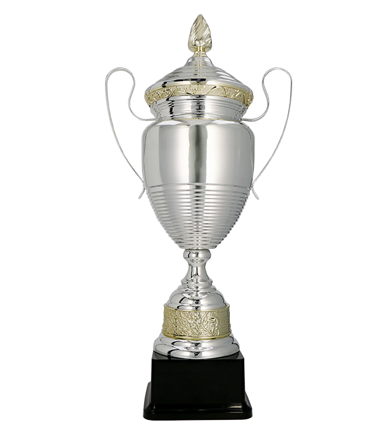 Pokal Silber Gold