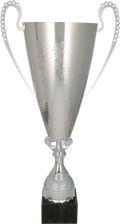 Silberpokal