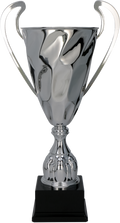 Silberpokal