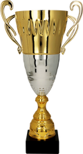 Pokal Gold Silber