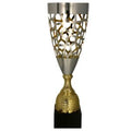 Pokal Gold Silber