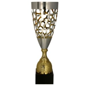 Pokal Gold Silber
