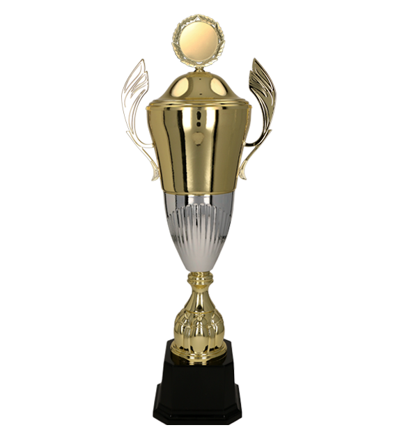 Pokal Gold Silber mit Deckel DIUNA