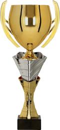 Pokal Gold Silber