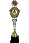 Pokal Gold Silber