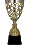 Pokal Gold Silber