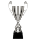 Silberpokal T D