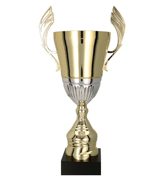Pokal Gold Silber
