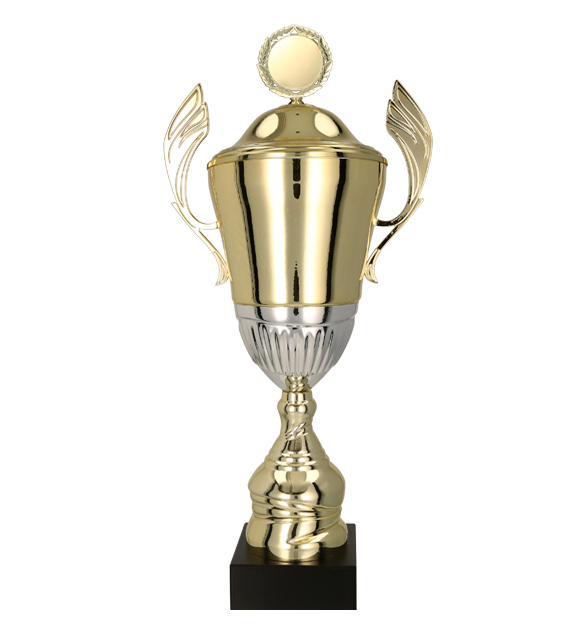 Pokal Gold Silber mit Deckel