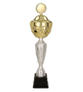 Pokal Gold Silber GEDRYT