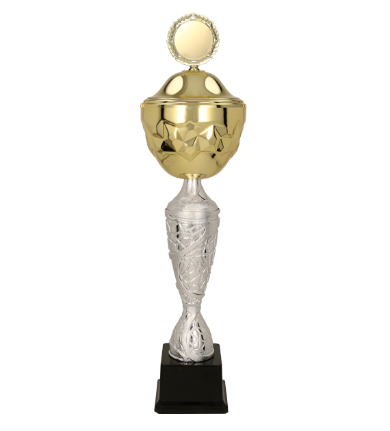 Pokal Gold Silber GEDRYT