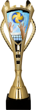 Pokal Kunststoff Gold Volleyball