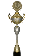 Pokal Gold Silber mit Deckel