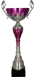 Pokal Silber Violett