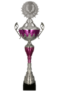Pokal Silber Violett mit Deckel