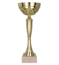 Goldpokal TYSIL
