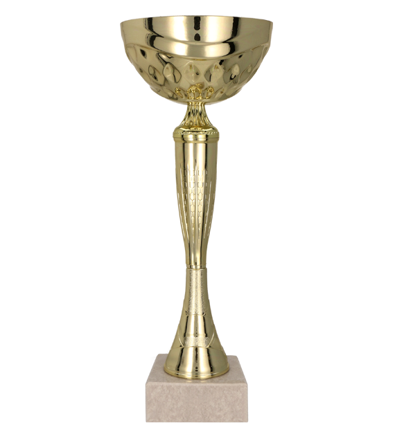 Goldpokal TYSIL