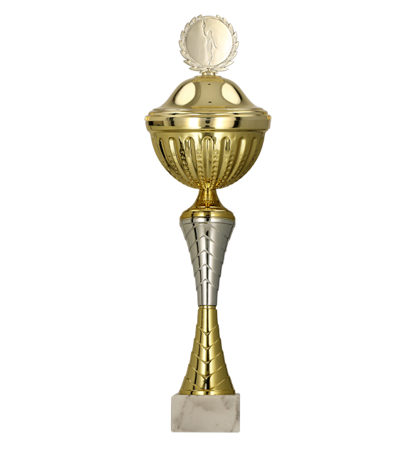 Pokal Gold Silber mit Deckel