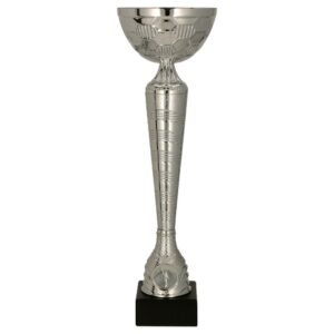 Pokal Silber
