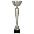Pokal Silber