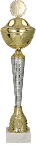 Pokal Gold Silber mit Deckel