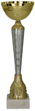 Pokal Gold Silber