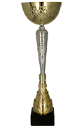 Pokal Gold Silber