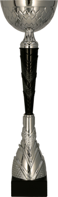 Pokal Silber Schwarz