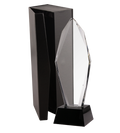 Glastrophäe mit Etui