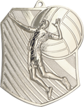 Geprägte Medaille Volleyball Silber