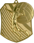 Geprägte Medaille Volleyball