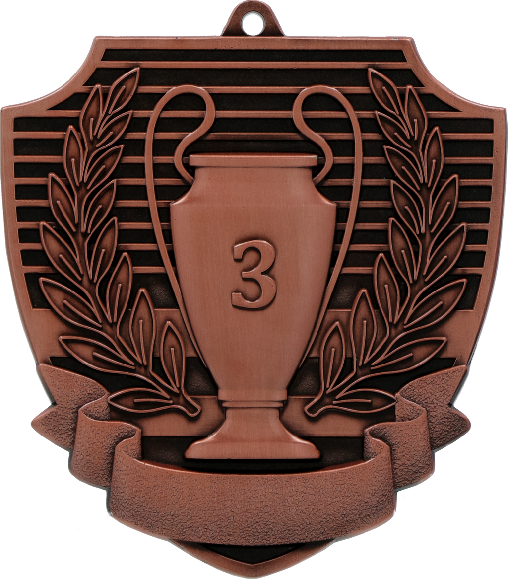 Medaille Pokal Platz 1 Bronze