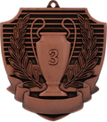 Medaille Pokal Platz 1 Bronze