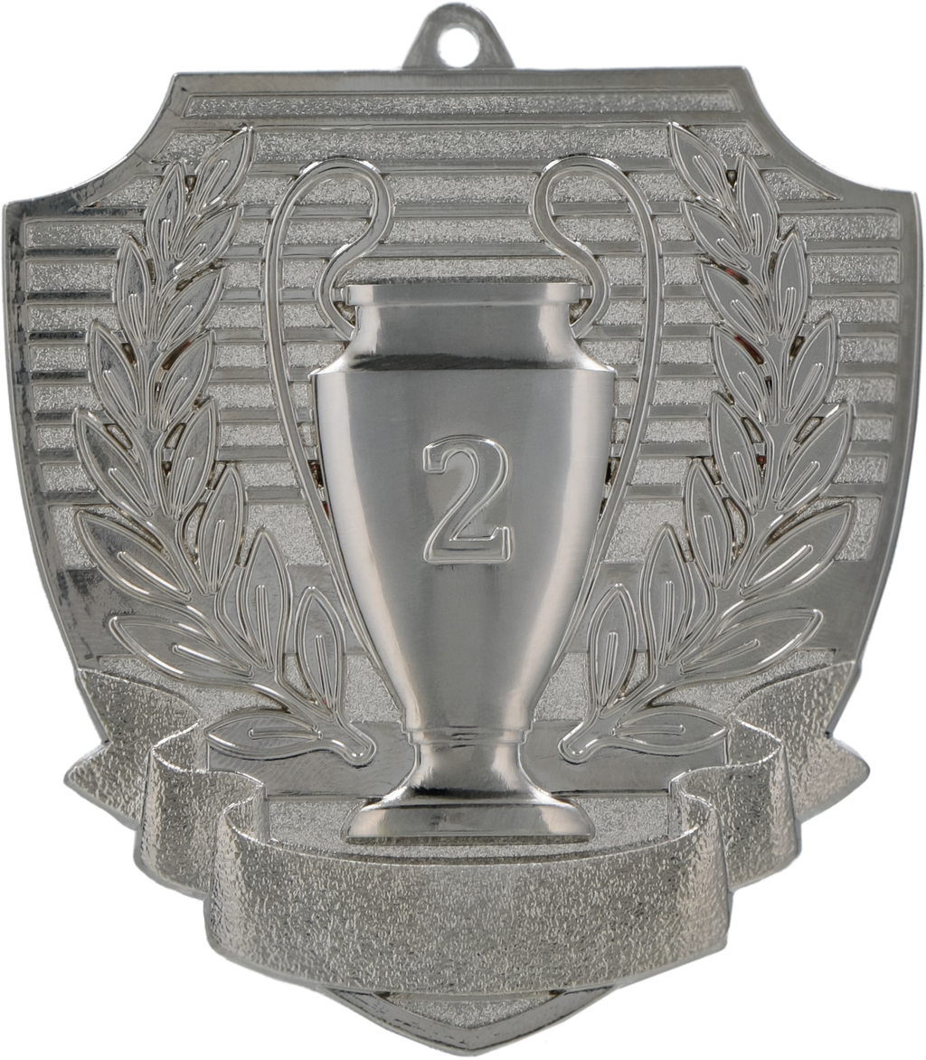 Medaille Pokal Platz 1 Silber