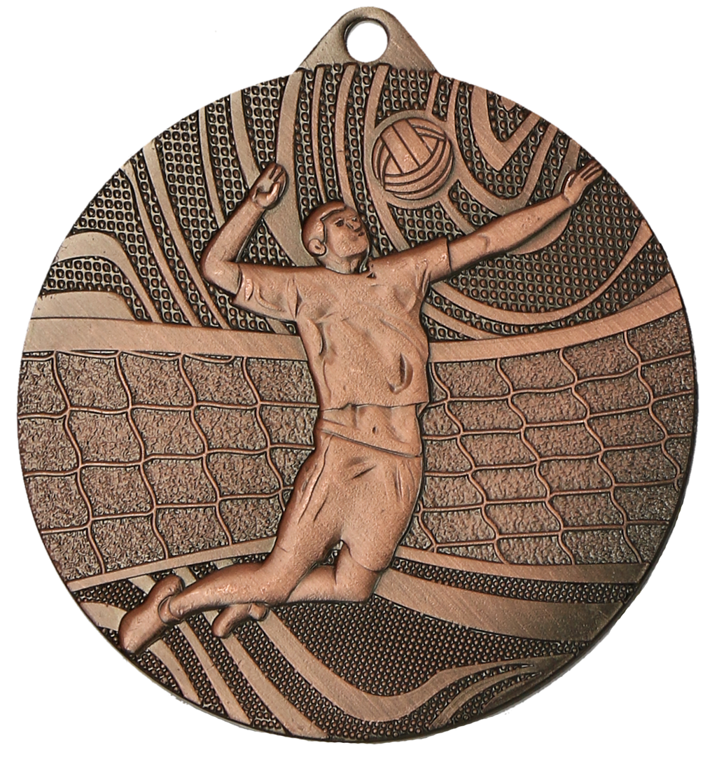 Volleyball Stahlmedaille Bronze