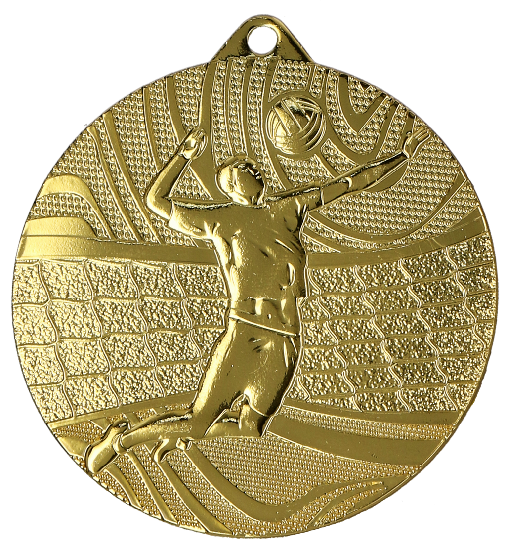 Volleyball Stahlmedaille