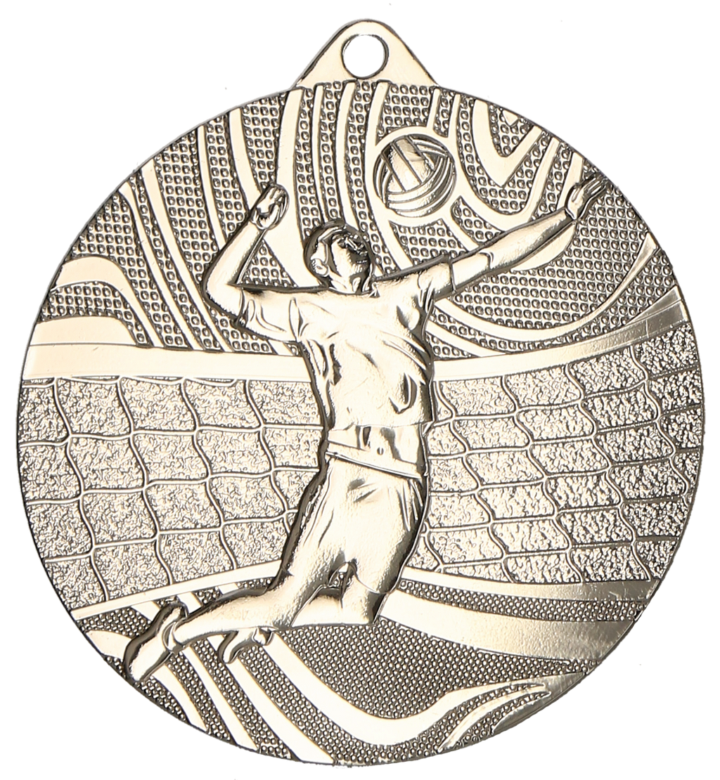 Volleyball Stahlmedaille Silber