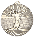 Volleyball Stahlmedaille Silber
