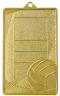 Volleyball Stahlmedaille